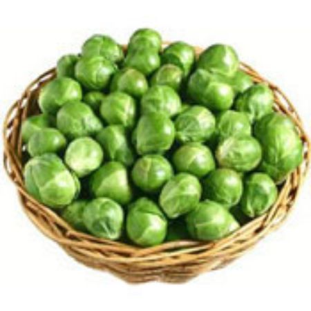 Picture for category Brussels Sprouts Plants