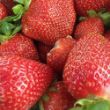 Picture of Chandler Strawberry Plant - 25-Count Tray