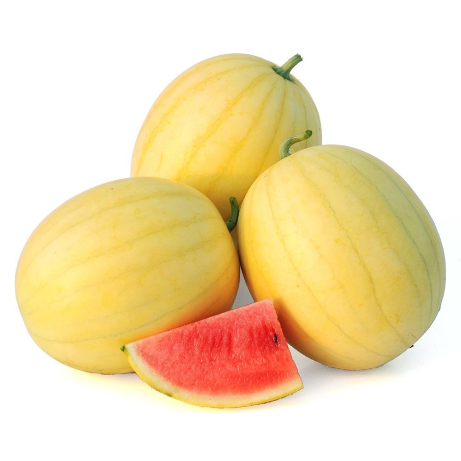 Faerie Watermelon Plant, indeterminate variety, yellow watermelons