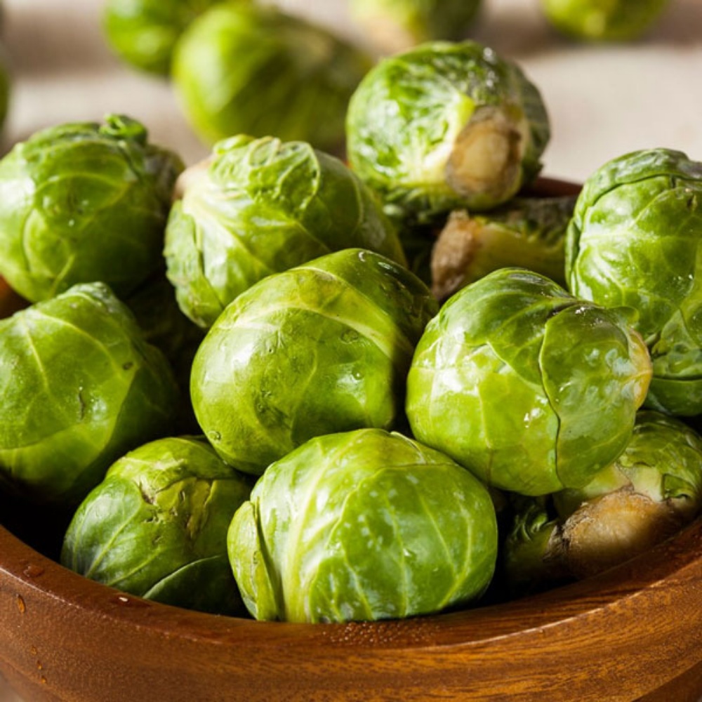 Picture for category Brussels Sprouts Plants