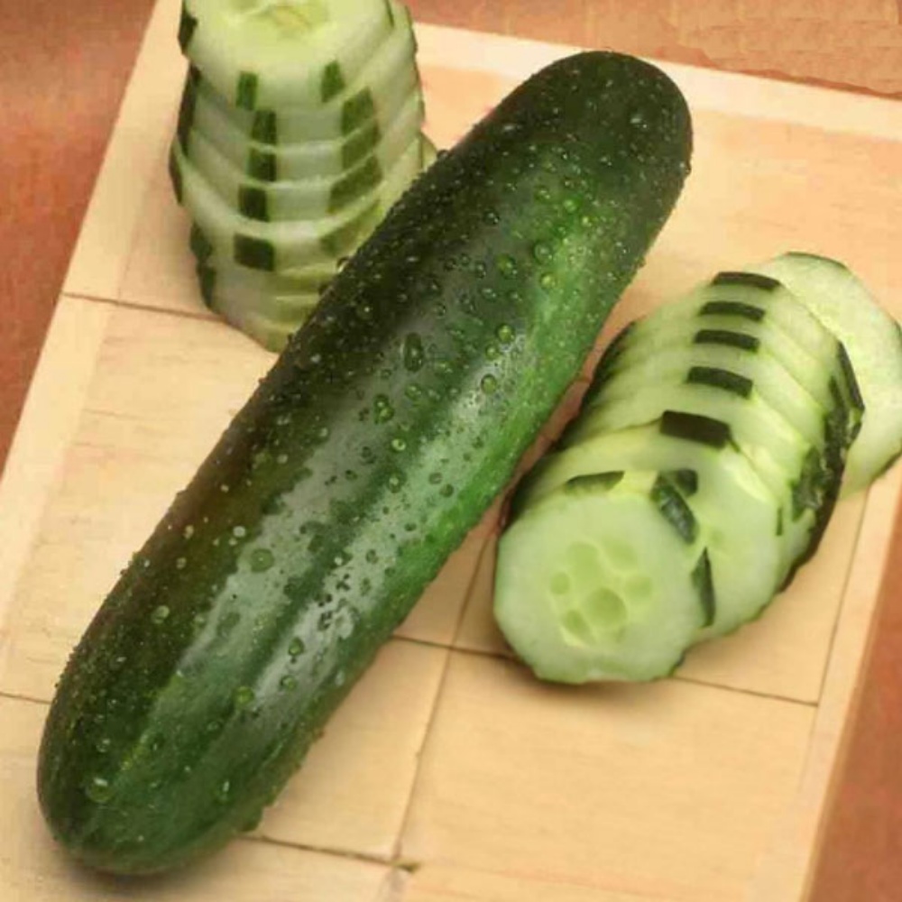 Picture for category Cucumber Plants