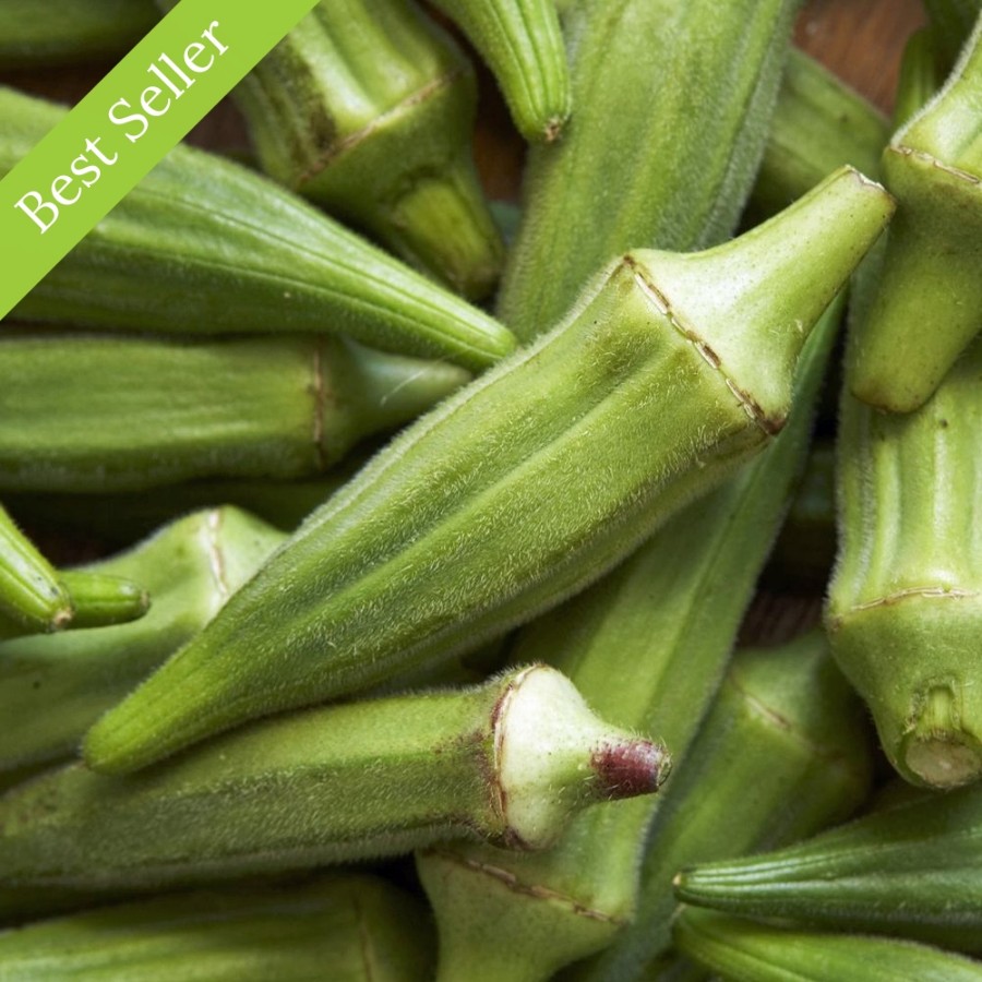 Clemson Spineless Okra Plant, heirloom variety, high yield