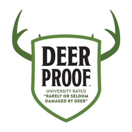 Picture for category Proven Winners Deer Proof Shrubs