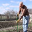 Picture of The Forever Tomato Stake - Black